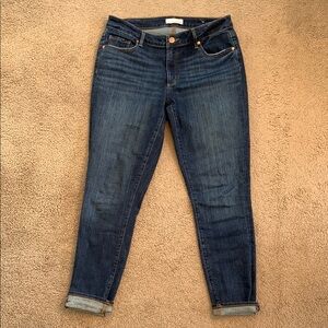 Ann Taylor ankle length jeans